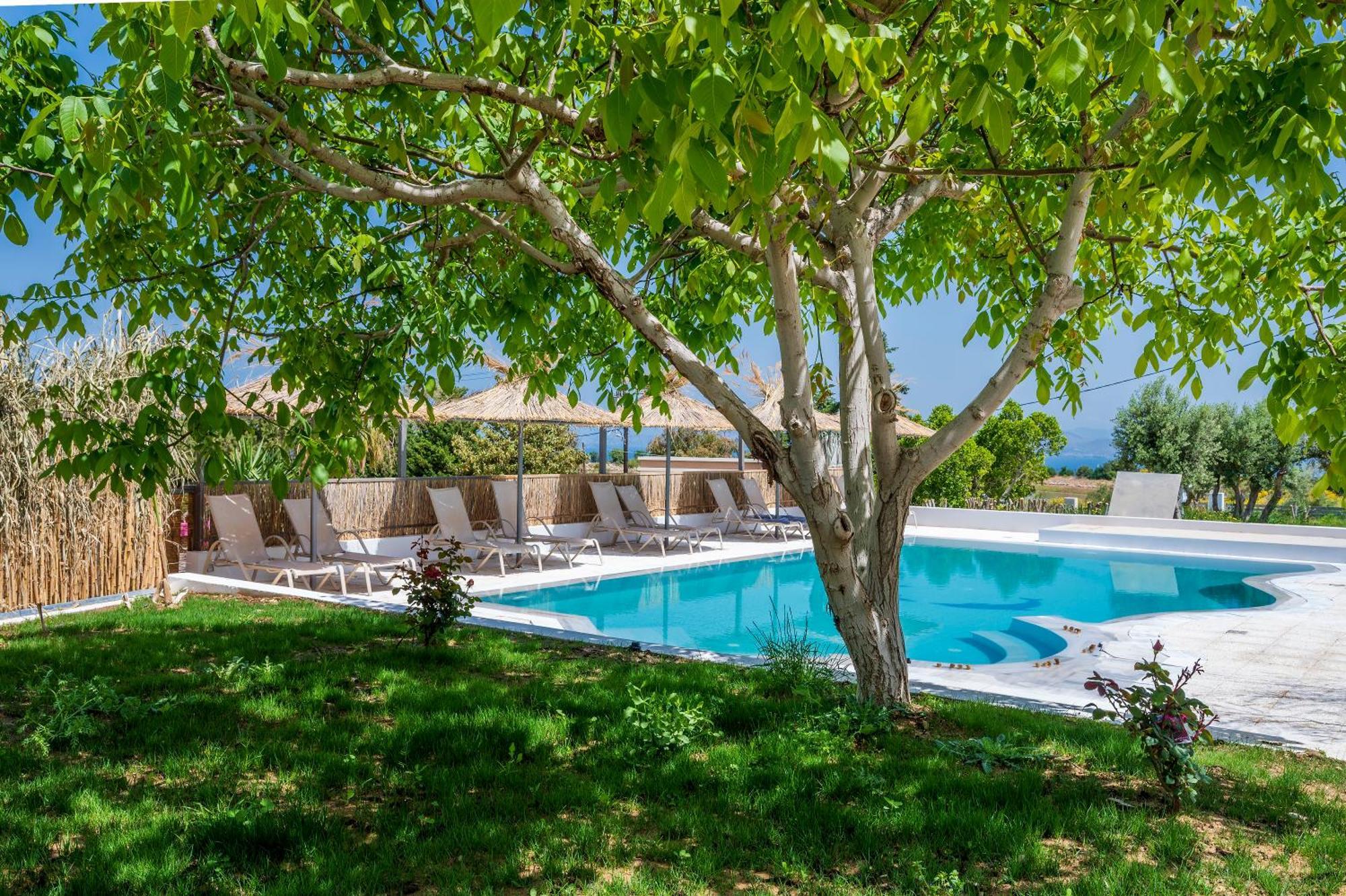 Homes Eva'S Garden, Poolside Cozy Havens In Kos Agios Dimitrios  Zewnętrze zdjęcie
