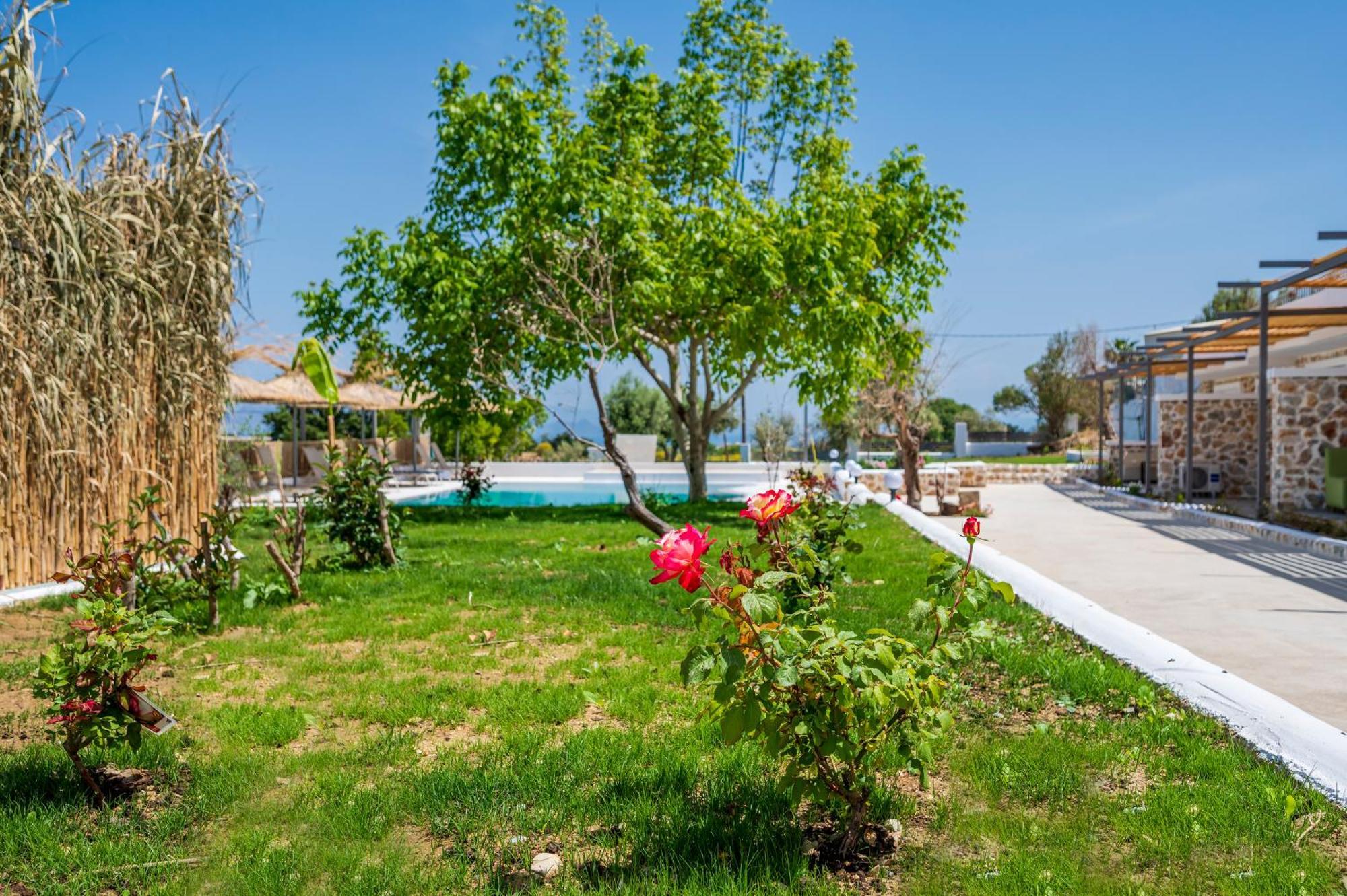 Homes Eva'S Garden, Poolside Cozy Havens In Kos Agios Dimitrios  Zewnętrze zdjęcie